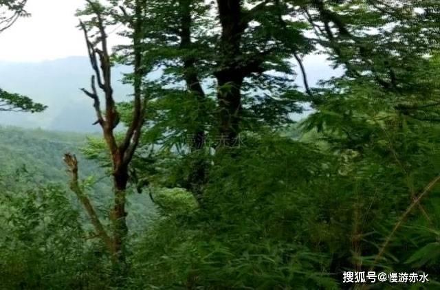 李念39岁三胎产后状态良好!与闺蜜合照颜值高,因《蜗居》成名
