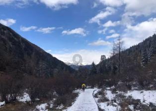 晴川文旅正式揭牌成立，为汉阳高质量发展增添文创“新引擎”